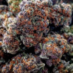 7-Way-Marijuana-Strain-UK