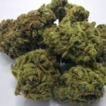 AFGHAN Hawaiian