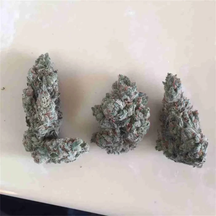 Buy Jack Frost Strain UK