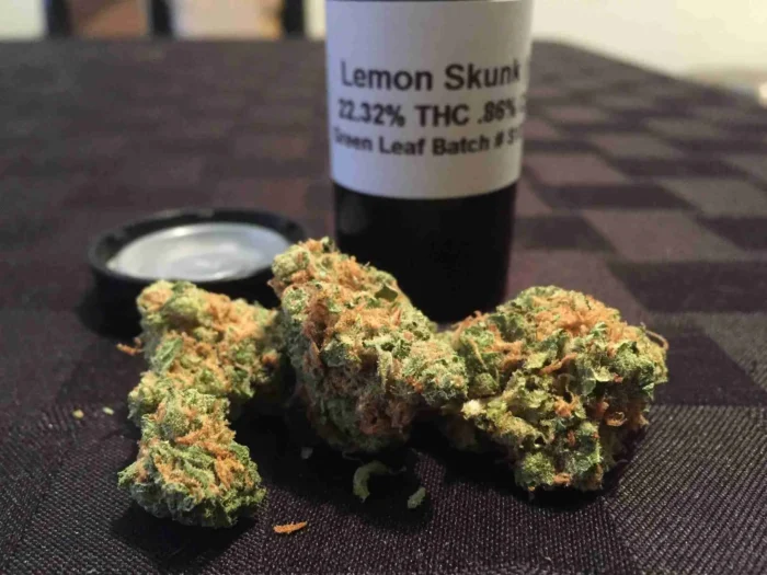 Lemon skunk strain