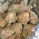 Gelato #41 Weed Strain