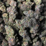 Gelato Marijuana Strain UK