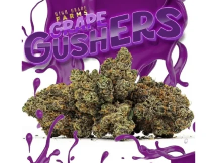 Grape Gushers