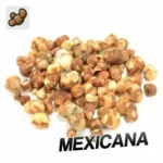 Buy Sclerotia Mexicana A (15 grams) UK