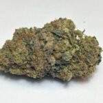 Alpha Blue Strain