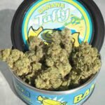 Banana Taffy Big Smokey Farms