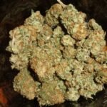 Colombian Gold