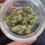 DURBAN POISON