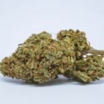 Jet Fuel