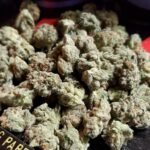 Kerala Kush