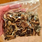 Buy Magic Mushrooms UK